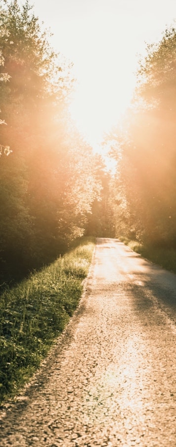 Organisation des obsèques