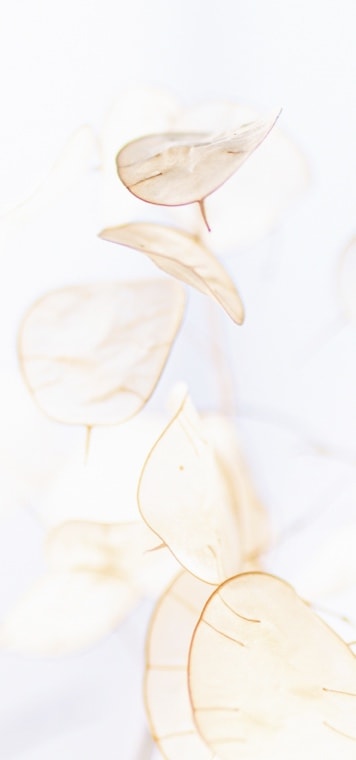 Articles funéraires